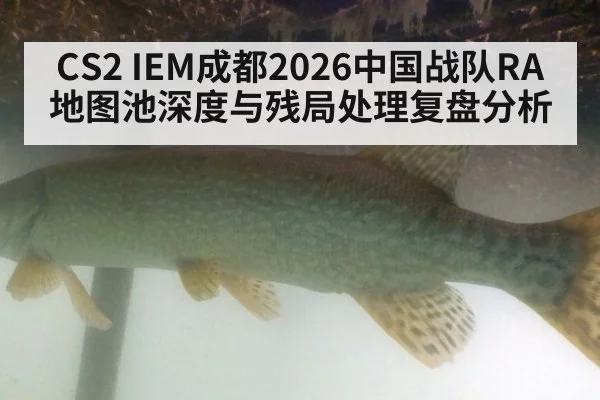 CS2 IEM成都2026中国战队RA地图池深度与残局处理复盘分析